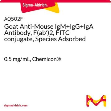 Goat Anti-Mouse IgM+IgG+IgA Antibody, F(ab&#8242;)2, FITC conjugate, Species Adsorbed 0.5&#160;mg/mL, Chemicon&#174;