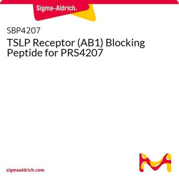 TSLP Receptor (AB1) Blocking Peptide for PRS4207