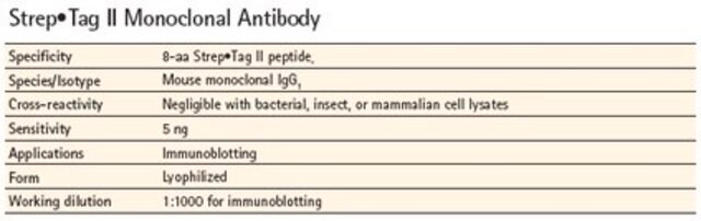 StrepTag&#8482; II Monoclonal Antibody Novagen&#174;