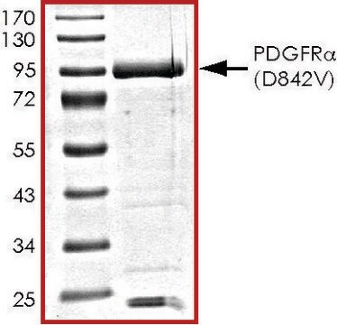 PDGFR-&#945; (D842V), active, GST tagged human PRECISIO&#174;, recombinant, expressed in baculovirus infected Sf9 cells, &#8805;70% (SDS-PAGE), buffered aqueous glycerol solution