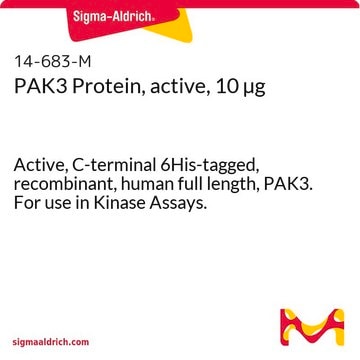 PAK3 Protein, active, 10 &#181;g Active, C-terminal 6His-tagged, recombinant, human full length, PAK3. For use in Kinase Assays.