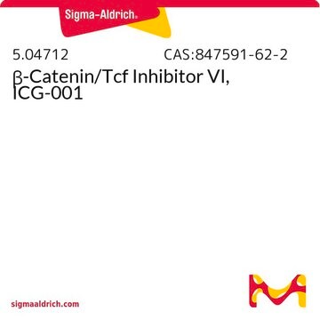 &#946;-Catenin/Tcf Inhibitor VI, ICG-001