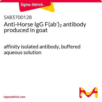 Anti-Horse IgG F(ab&#8242;)2 antibody produced in goat affinity isolated antibody, buffered aqueous solution