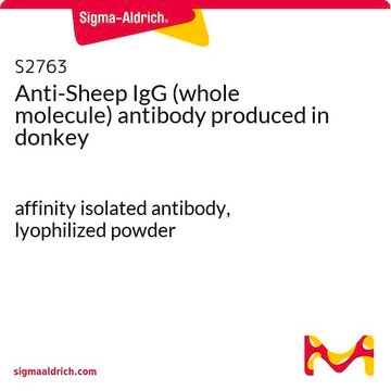 Anti-Sheep IgG (whole molecule) antibody produced in donkey affinity isolated antibody, lyophilized powder