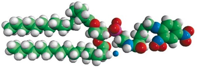 16:0 DNP Cap PE 1,2-dipalmitoyl-sn-glycero-3-phosphoethanolamine-N-[6-[(2,4-dinitrophenyl)amino]hexanoyl] (ammonium salt), powder