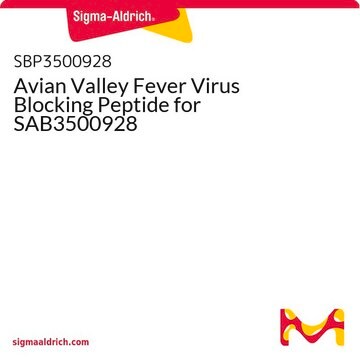 Avian Valley Fever Virus Blocking Peptide for SAB3500928