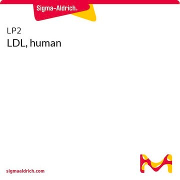 LDL, human