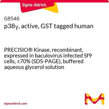 p38&#947;, active, GST tagged human PRECISIO&#174; Kinase, recombinant, expressed in baculovirus infected Sf9 cells, &#8805;70% (SDS-PAGE), buffered aqueous glycerol solution