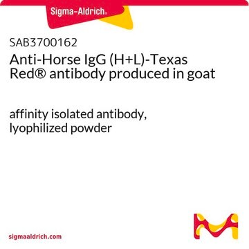 Anti-Horse IgG (H+L)-Texas Red&#174; antibody produced in goat affinity isolated antibody, lyophilized powder