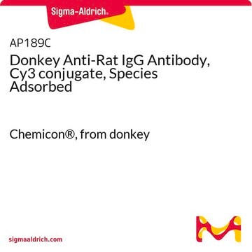 Donkey Anti-Rat IgG Antibody, Cy3 conjugate, Species Adsorbed Chemicon&#174;, from donkey