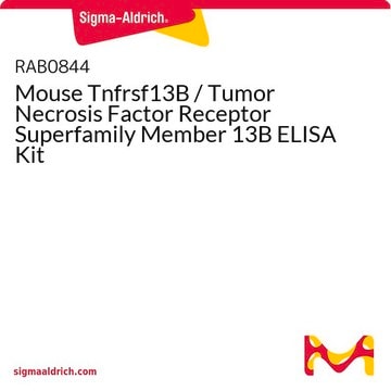 Mouse Tnfrsf13B / Tumor Necrosis Factor Receptor Superfamily Member 13B ELISA Kit