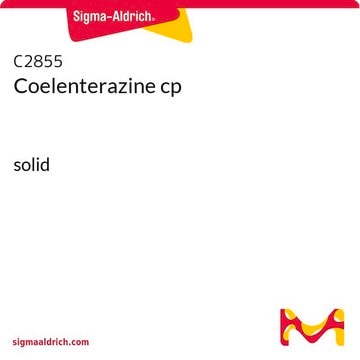 Coelenterazine cp solid