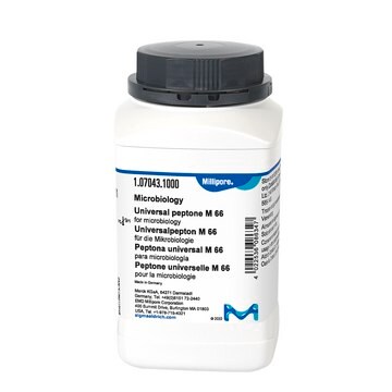 Universal peptone M 66 suitable for microbiology