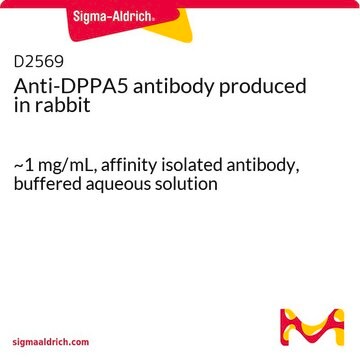 Anti-DPPA5 antibody produced in rabbit ~1&#160;mg/mL, affinity isolated antibody, buffered aqueous solution