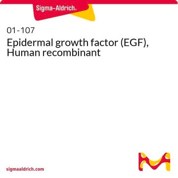 Epidermal growth factor (EGF), Human recombinant