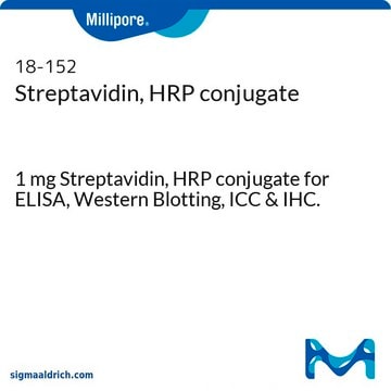 Streptavidin, HRP conjugate 1 mg Streptavidin, HRP conjugate for ELISA, Western Blotting, ICC &amp; IHC.