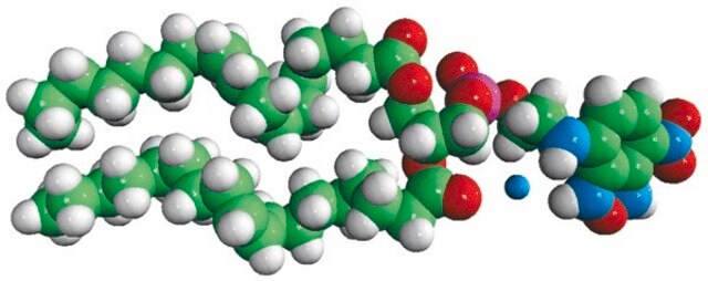 18:1 NBD PE Avanti Research&#8482; - A Croda Brand