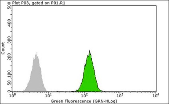 Anti-SMN Antibody, clone 2B1 clone 2B1, from mouse