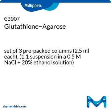 Glutathione&#8722;Agarose set of 3 pre-packed columns (2.5 ml each), (1:1 suspension in a 0.5 M NaCl + 20% ethanol solution)