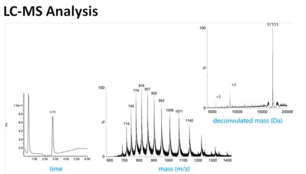 Di-Ubiquitin (Lys63-linked) Recombinant Protein Native K63 linked Di-Ubiquitin which can be used as a substrate for proteases that cleave the isopeptide linkage between two ubiquitin molecules.