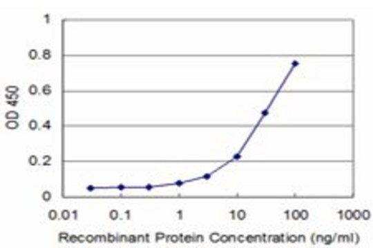 Monoclonal Anti-NHLH2 antibody produced in mouse clone 3E3, purified immunoglobulin, buffered aqueous solution