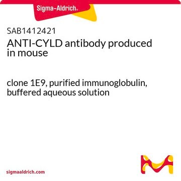 ANTI-CYLD antibody produced in mouse clone 1E9, purified immunoglobulin, buffered aqueous solution