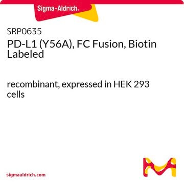 PD-L1 (Y56A), FC Fusion, Biotin Labeled recombinant, expressed in HEK 293 cells