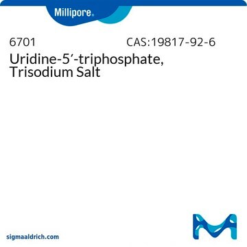 Uridine-5&#8242;-triphosphate, Trisodium Salt