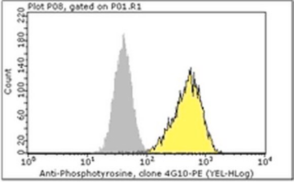 Milli-Mark&#174; Anti-Phosphotyrosine-PE Antibody, recombinant clone 4G10&#174; clone 4G10, Milli-Mark&#174;, from mouse