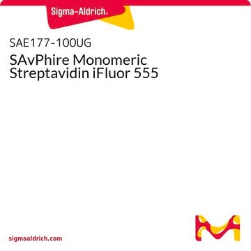 SAvPhire Monomeric Streptavidin iFluor 555