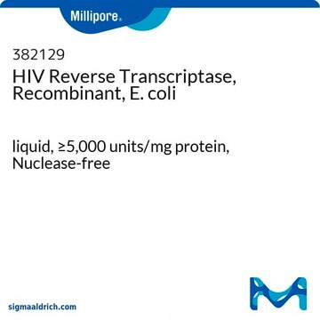 HIV Reverse Transcriptase, Recombinant, E. coli liquid, &#8805;5,000&#160;units/mg protein, Nuclease-free