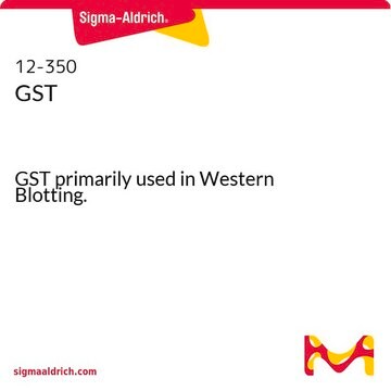 GST GST primarily used in Western Blotting.