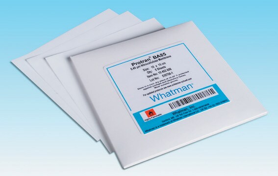 Whatman&#174; nitrocellulose membrane filters plain white, pore size 1&#160;&#956;m, diam. 25&#160;mm