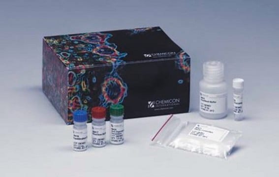 ApopTag Peroxidase In Situ Apoptosis Detection Kit The ApopTag Peroxidase In Situ Apoptosis Detection Kit detects apoptotic cells in situ by labeling &amp; detecting DNA strand breaks by the TUNEL method.