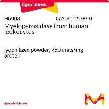 Myeloperoxidase from human leukocytes lyophilized powder, &#8805;50&#160;units/mg protein