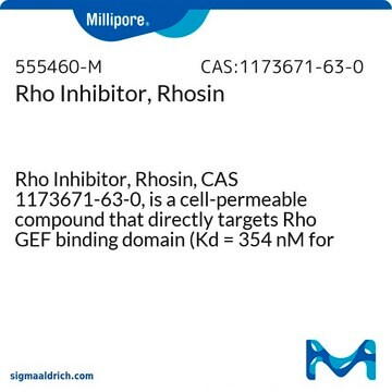 Rho Inhibitor, Rhosin Rho Inhibitor, Rhosin, CAS 1173671-63-0, is a cell-permeable compound that directly targets Rho GEF binding domain (Kd = 354 nM for RhoA), thereby prevents Rho from interacting with its GEFs.