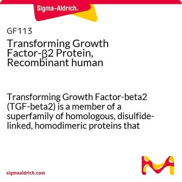 Transforming Growth Factor-&#946;2 Protein, Recombinant human Transforming Growth Factor-beta2 (TGF-beta2) is a member of a superfamily of homologous, disulfide-linked, homodimeric proteins that regulate the proliferation &amp; differentiation of normal &amp; transformed cells.