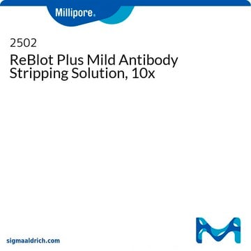 ReBlot Plus Mild Antibody Stripping Solution, 10x