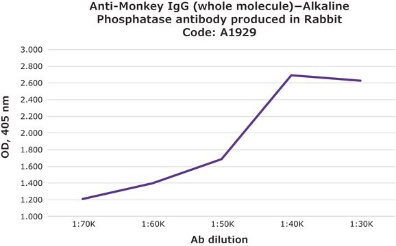 Anti-Monkey IgG (whole molecule)&#8722;Alkaline Phosphatase antibody produced in rabbit affinity isolated antibody, buffered aqueous solution