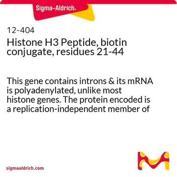 Histone H3 Peptide, biotin conjugate, residues 21-44 This gene contains introns &amp; its mRNA is polyadenylated, unlike most histone genes. The protein encoded is a replication-independent member of the histone H3 family.