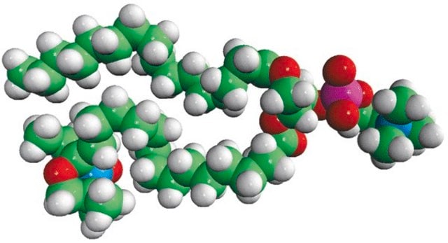 16:0-16 Doxyl PC Avanti Research&#8482; - A Croda Brand 810604C