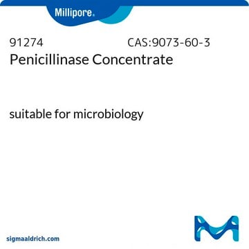 Penicillinase Concentrate suitable for (Antibiotic inactivation), vial of 100&#160;mL