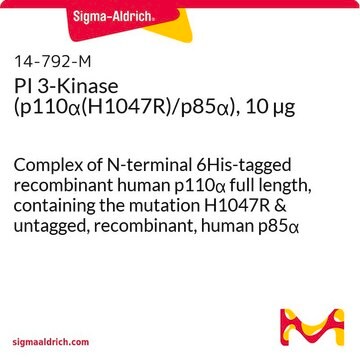 PI 3-Kinase (p110&#945;(H1047R)/p85&#945;), 10 &#181;g Complex of N-terminal 6His-tagged recombinant human p110&#945; full length, containing the mutation H1047R &amp; untagged, recombinant, human p85&#945; full length.