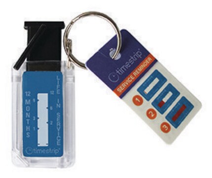 Timestrip&#174; 12 months, key chain