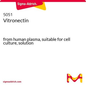 Vitronectin from human plasma, suitable for cell culture, solution