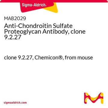 Anti-Chondroitin Sulfate Proteoglycan Antibody, clone 9.2.27 clone 9.2.27, Chemicon&#174;, from mouse