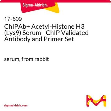 ChIPAb+ Acetyl-Histone H3 (Lys9) Serum - ChIP Validated Antibody and Primer Set serum, from rabbit