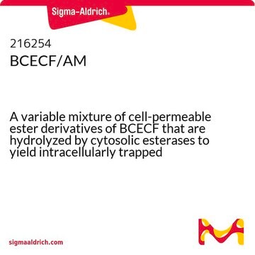 BCECF/AM A variable mixture of cell-permeable ester derivatives of BCECF that are hydrolyzed by cytosolic esterases to yield intracellularly trapped indicator BCECF.