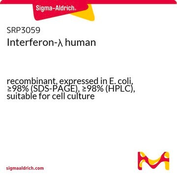 Interferon-&#955; human recombinant, expressed in E. coli, &#8805;98% (SDS-PAGE), &#8805;98% (HPLC), suitable for cell culture