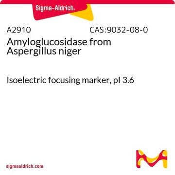 Amyloglucosidase from Aspergillus niger Isoelectric focusing marker, pI&#160;3.6